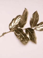 [히로아카]당신이 히어로라서