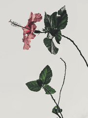 [하이큐] 드림 썰