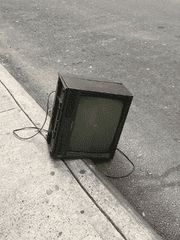 주토피아 : 수인 셋 인간 하나