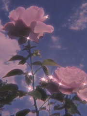 멜로디 단편.zip