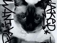 뭐가 계속 나온다