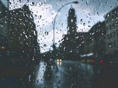 시작의 장마가 대지에 닿다.