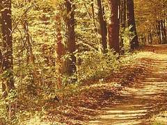 장마, 그와 새로이 잠드는 방법