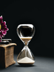 [내스급 X 전독시] 크로스오버