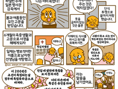 호데데! 여성독립운동가 이야기 - 남자현 열사(4)(끝)