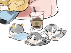 테스타 박문대 선아현 키링 도안 유료배포