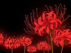 초록눈님과 제로피리 동양풍 비극썰에 대해 주고받기