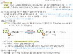 02. 생명 활동과 에너지