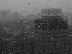 지우서준 - 늦사랑 5