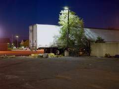 매미가 허물을 벗어놓은 곳에서