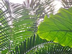 신의 선물을 끌어안는 자