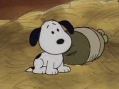 센가물에 하숙집을 섞어보자 6