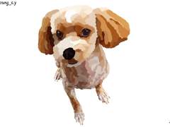 Persona 동물 전문 실사체 1+3 커미션(기부 커미션)