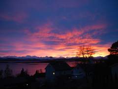 황혼에서 새벽까지