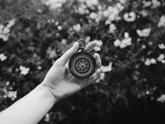 열다섯, 시간이 멈춘 너에게