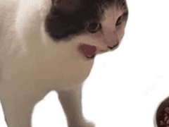 개인작 및 실 커미션 샘플