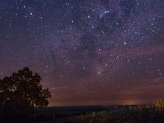 베르트람 윈클러/29/XY/디 루미르