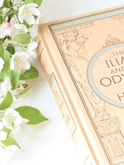 백야의 레퓨지아 프로필