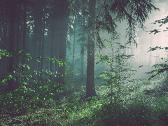 나의 연결고리에게 건네는