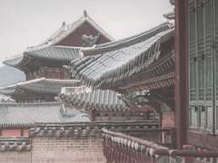 #애월화(愛月話) 1