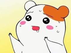 어서오세요 하이큐 하숙집에 31