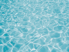 저에게 말 걸지 말아주세요