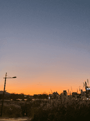 별일아닌것들로 별일이 됐던 밤.