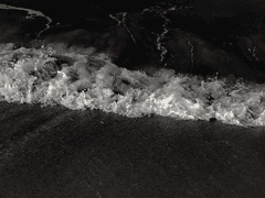 내가 죽기 일주일 전 (2)