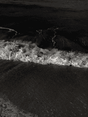 내가 죽기 일주일 전