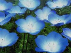 [셋링AU] 연(蓮)과 연(緣) 외전-蓮