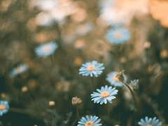 원스 어폰 어 썸머타임