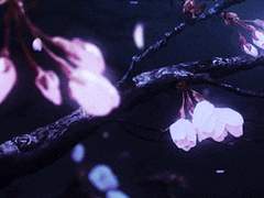 [카게야마 중심] 황금부수비: 5