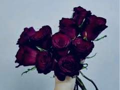 [데못죽] 리셋증후군