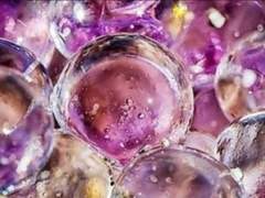 『여우 구슬🔮』