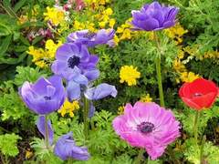 착살커 3기 공개 프로필