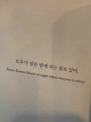 외전: 노닥이다