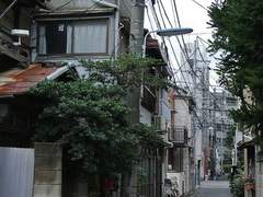 아츠히나 (2) 기록