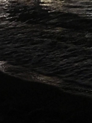 고아는 죄가 아니야