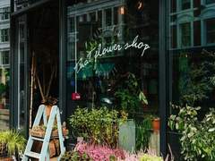 서로를 미워하는 방법