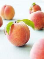 달면 뱉고 쓰면 삼키는 연애