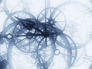 SL님 드림 타로 후기