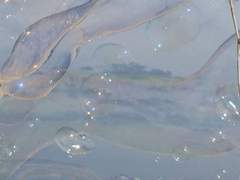 🎀♡ Hinana’s nail ♡🎀 주문서