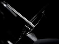 하치쿠쿠 헤어지자