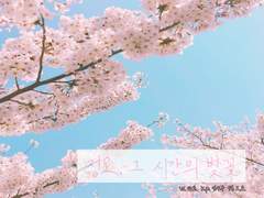 정오, 그 시간의 벚꽃 로그