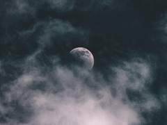 산심목서 / 소운목서 썰 모음 2