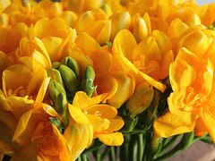 다시 만날 날까지,