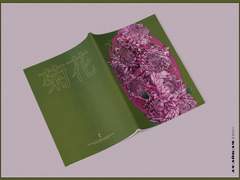 [작업 완료] 국화