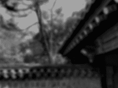 듣지 못하는 나그네.