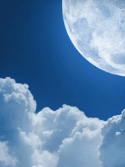 일몰신영(日歿晨迎)