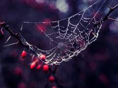 로그 3번: '소중한 것'